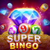 Super Bingo bonus game